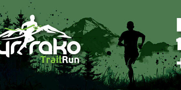 syrrako trail 26 dual